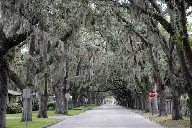 St. Augustine Hop-On Hop-Off Trolley Tour - Stop 8 to Stop 10: grand interiors and the Lightner Museum