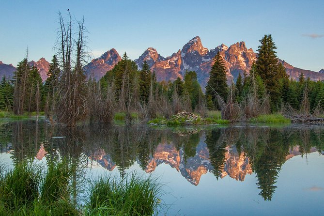Sunrise 4-Hour Grand Teton Wildlife Adventure - Key details before you book