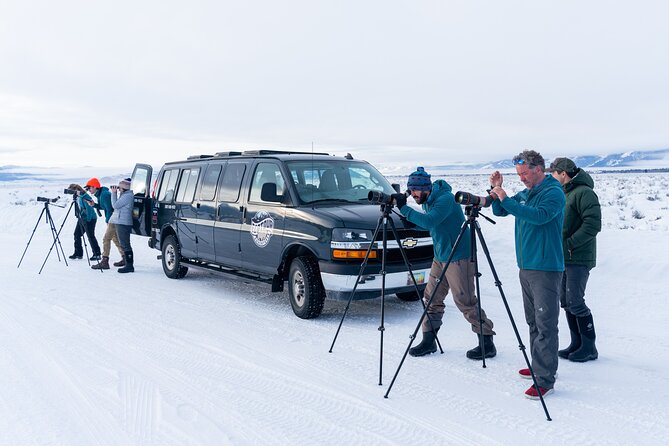 Sunrise 4-Hour Grand Teton Wildlife Adventure - Breakfast, coffee, and the cold morning factor