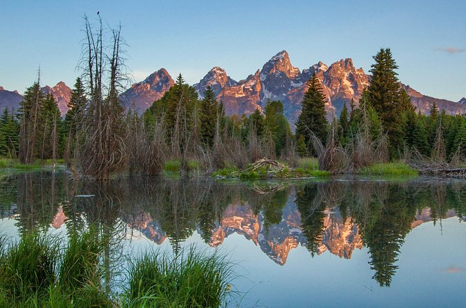 Sunrise 4-Hour Grand Teton Wildlife Adventure - Is $198 a fair price?