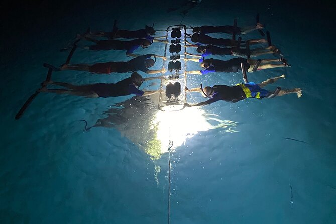 Sunset and Manta Ray Snorkel Adventure - The manta viewing rules are part of the experience
