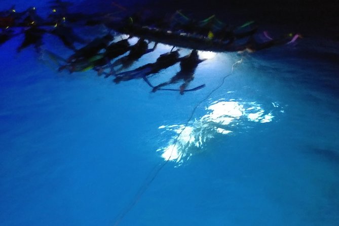 Sunset and Manta Ray Snorkel Adventure - Why the crew makes a difference