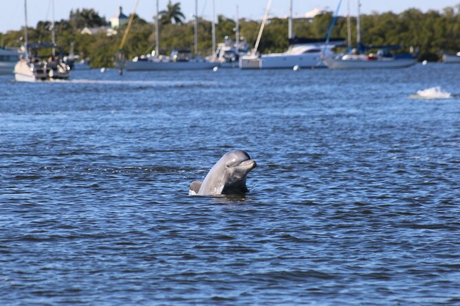 Sunset Dolphin Cruise with Sanibel Lighthouse Views - Fort Myers sunsets from the water