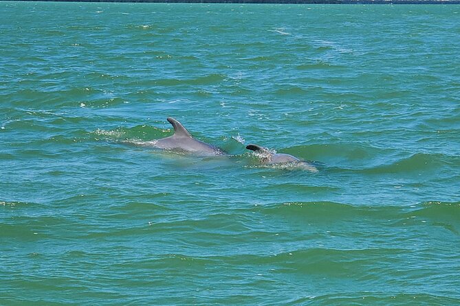 Sunset Dolphin Cruise with Sanibel Lighthouse Views - The captains make the difference