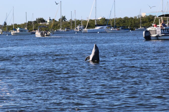 Sunset Dolphin Cruise with Sanibel Lighthouse Views - Who should book this cruise?