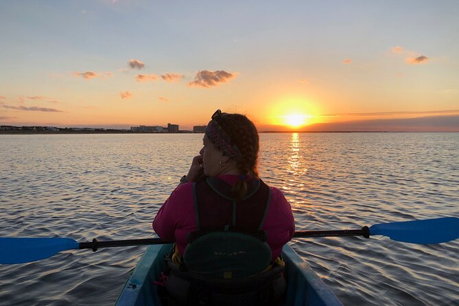 Sunset Dolphin Kayak Tours - Sunset, seabirds, and the return to the beach