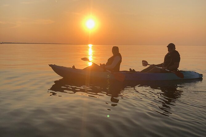 Sunset Dolphin Kayak Tours - Is $68 a fair price?