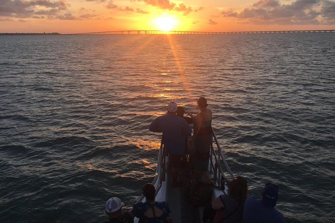Sunset Dolphin Watch Tour - Key points to know before you go