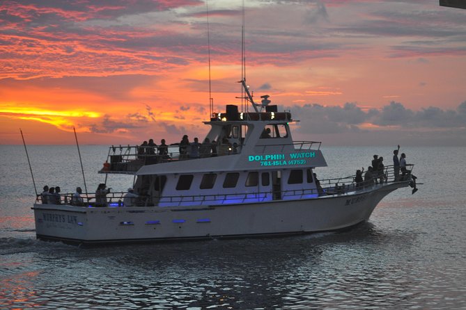 Sunset Dolphin Watch Tour - Coast Guard views and the SpaceX launch area
