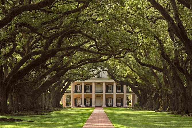 Swamp Boat Ride and Oak Alley Plantation Tour from New Orleans - What the full day feels like