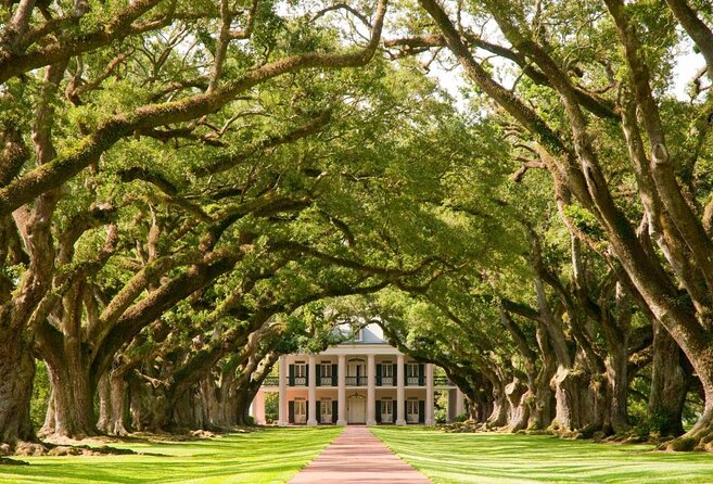 Swamp Boat Ride and Oak Alley Plantation Tour from New Orleans - Is the $131 price good value?
