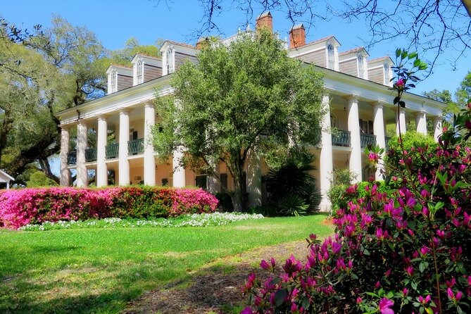 Swamp Boat Ride and Oak Alley Plantation Tour from New Orleans - Oak Alley’s oaks and the history beneath them