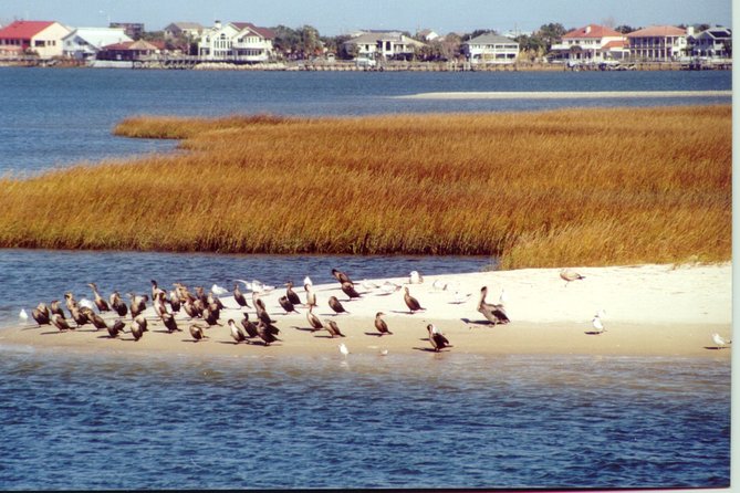 Take a Scenic Boat Ride in St. Augustine - Why seeing St. Augustine from the water works