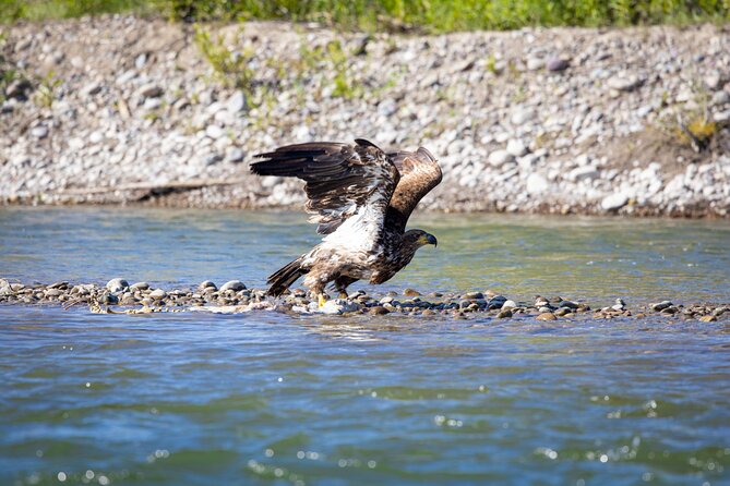 Tetons and Snake River Scenic Float Trip In Jackson Hole - How wet, cold, or strenuous is it?