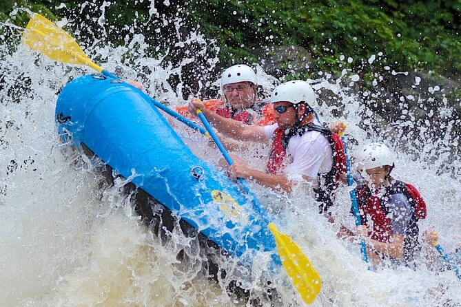 The Best Whitewater Rafting - Who should book this Pigeon River trip?
