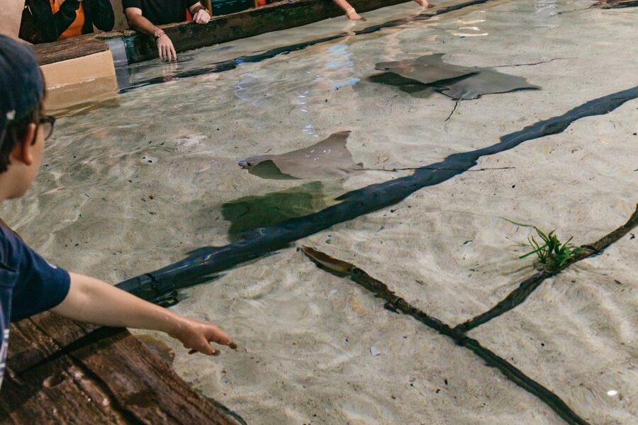 The Florida Aquarium Ticket - Plan for shows, talks, and optional water activities