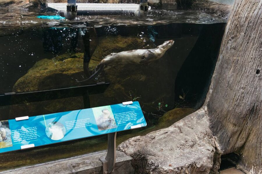 The Florida Aquarium Ticket - Is $36 a fair price?