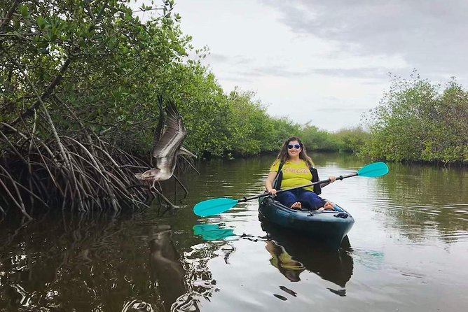 Thousand Island Mangrove Tunnel, Manatee & Dolphin Kayak Tour w/Cocoa Kayaking - The mangrove tunnels are the star of the route