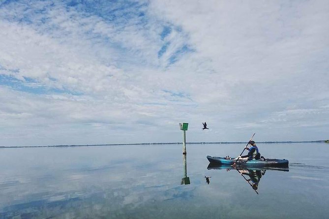 Thousand Island Mangrove Tunnel, Manatee & Dolphin Kayak Tour w/Cocoa Kayaking - Guides who teach as they lead