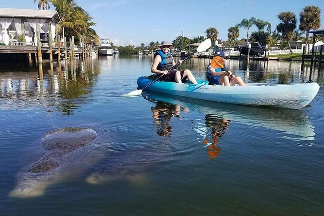 Thousand Island Mangrove Tunnel, Manatee & Dolphin Kayak Tour w/Cocoa Kayaking - Kayaks, comfort, and what you receive