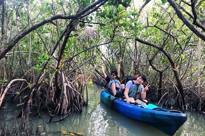 Thousand Island Mangrove Tunnel, Manatee & Dolphin Kayak Tour w/Cocoa Kayaking - Is $69.08 a good value?