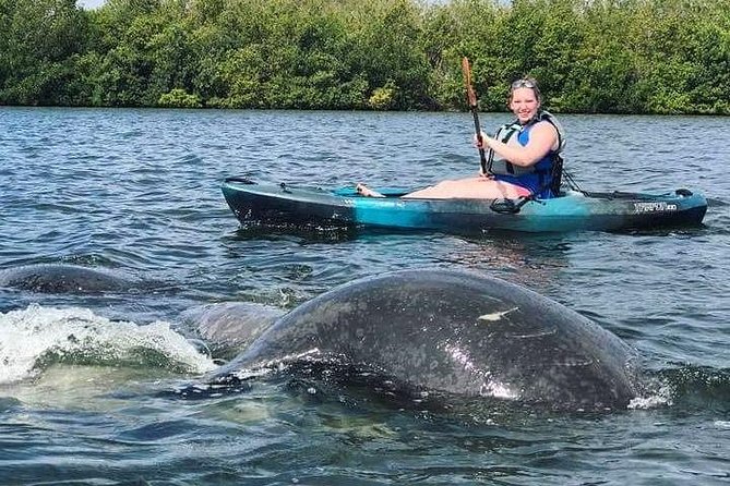 Thousand Island Mangrove Tunnel, Manatee & Dolphin Kayak Tour w/Cocoa Kayaking - Who will enjoy this tour most?