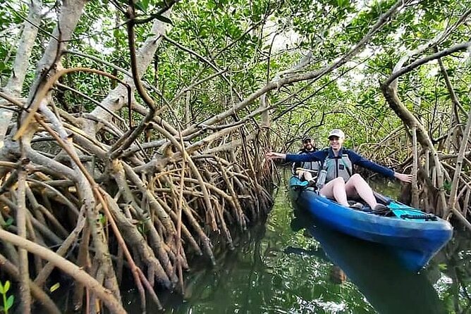 Thousand Island Mangrove Tunnel, Manatee & Dolphin Kayak Tour w/Cocoa Kayaking - Timing, cancellation, and small practical details
