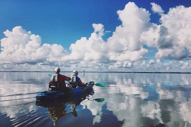 Thousand Island Mangrove Tunnel, Manatee & Dolphin Kayak Tour w/Cocoa Kayaking - Manatees, dolphins, and the luck factor