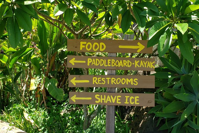 Tour of North Shore & Waimea Waterfall - North Shore food, fruit, and surf