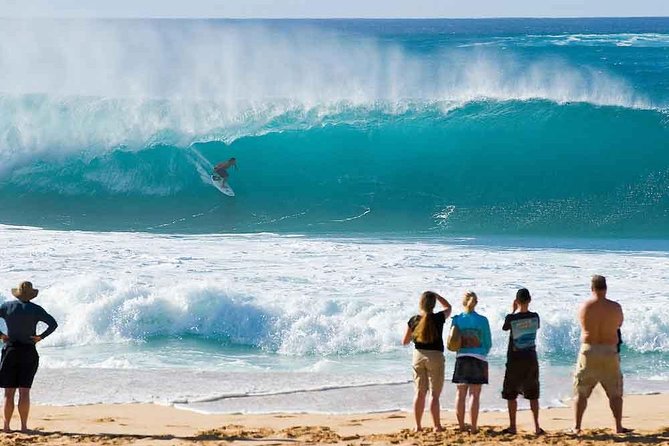 Tour of North Shore & Waimea Waterfall - The main event at Waimea Valley