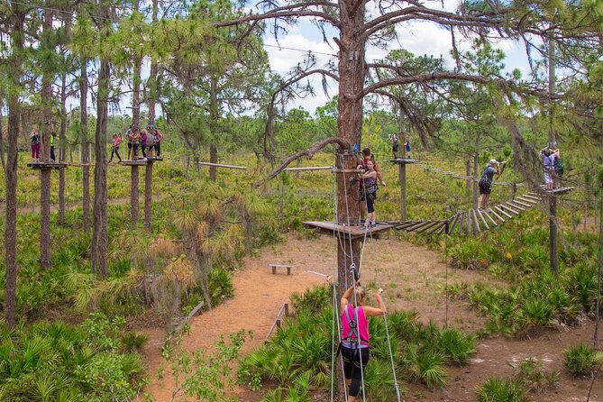 TreeUmph Adventure Course - TreeUmph at a glance