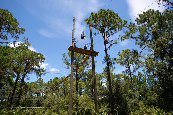 TreeUmph Adventure Course - How busy conditions can change the experience