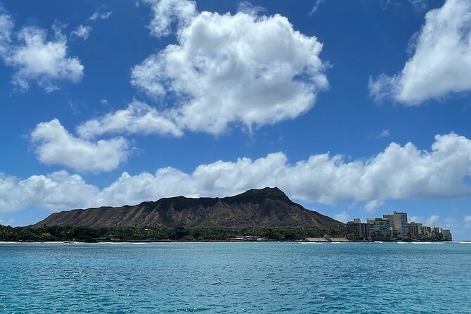 Turtle Canyon Snorkel Adventure in Waikiki, Oahu - Who Will Get the Most From This Trip