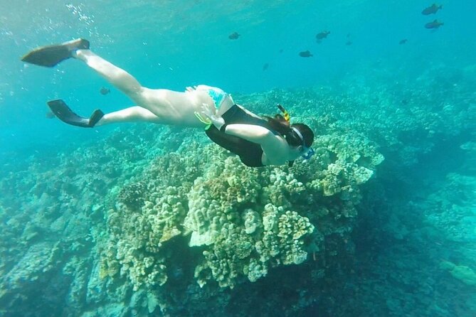Two Reef Snorkel Trip-See Captain Cook Monument & Sea Caves - Should you book it?
