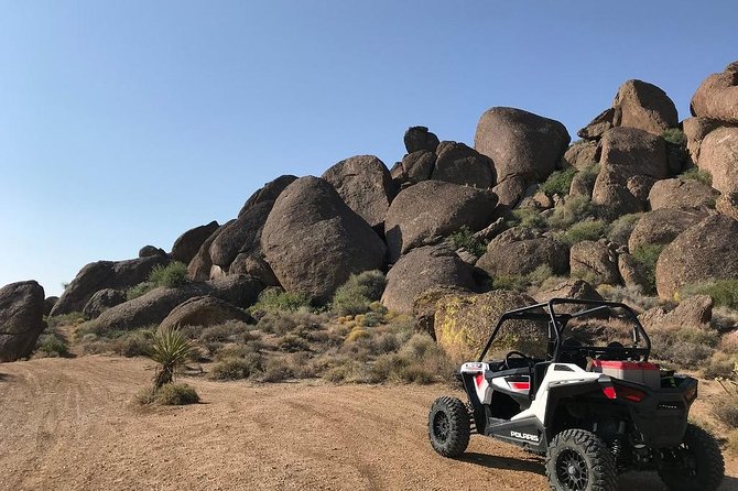 Ultimate Hidden Valley and Primm RZR Adventure from Las Vegas - Who will enjoy this ride most