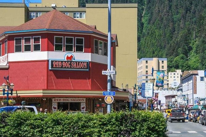 Ultimate Juneau Whale Watch and Mendenhall Glacier View - How the $156 price holds up