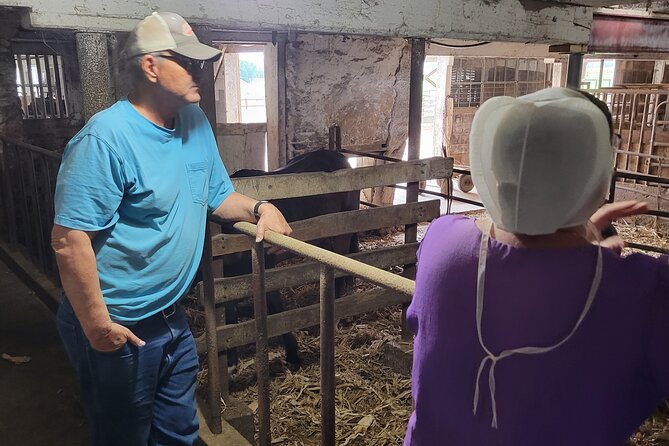 Unique Amish Immersion in Lancaster - Why this tour feels different from a roadside Amish stop
