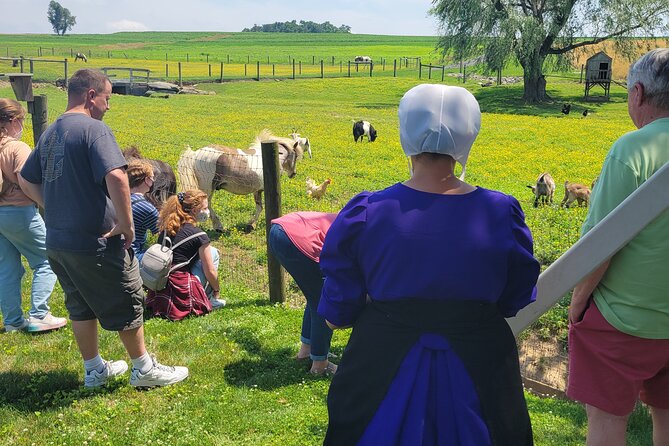 Unique Amish Immersion in Lancaster - The Amish creamery and the included ice cream