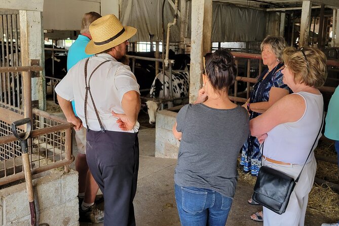 Unique Amish Immersion in Lancaster - Timing, mobility, and practical details