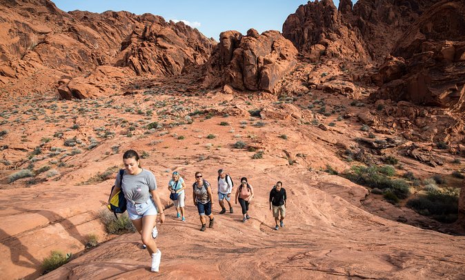 Valley of Fire Guided Hike from Las Vegas - Red sandstone, fault lines, and desert stories