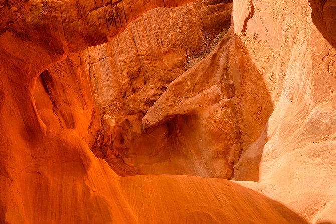 Valley of Fire Tour - Who will enjoy this outing most