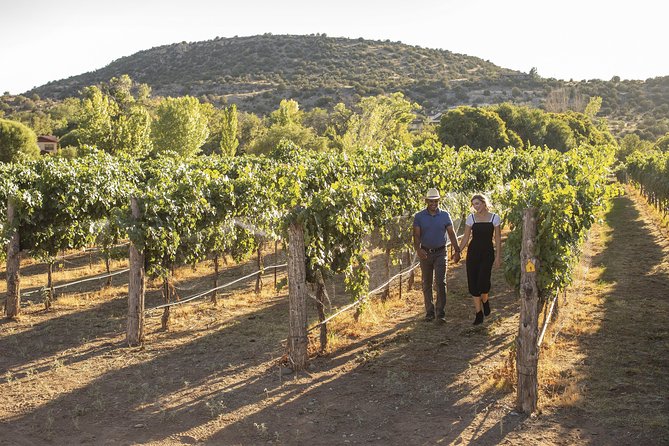 Visit 4 Wineries in Limo Party Bus-Includes Charcuterie Lunch! - The charcuterie board is more than a snack