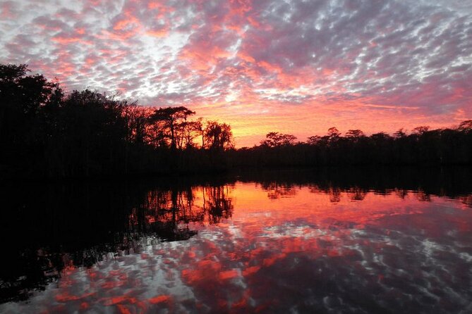 Waccamaw River Nature and Wildlife Tour - Why the covered boat matters