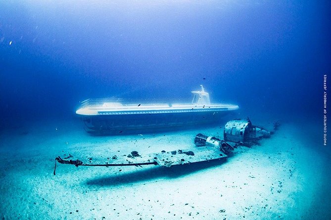 Waikiki: Atlantis Submarine Adventure - Who should book, and who should think twice?