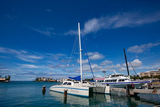 Waikiki Catamaran Snorkel Sail with Lunch: Turtles Guaranteed - The snorkeling time and crowd factor