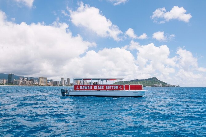 Waikiki Glass Bottom Boat Cruise - Wildlife sightings: what you may and may not see
