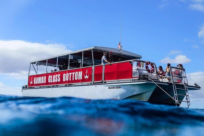 Waikiki Glass Bottom Boat Cruise - The glass ports and the underwater view