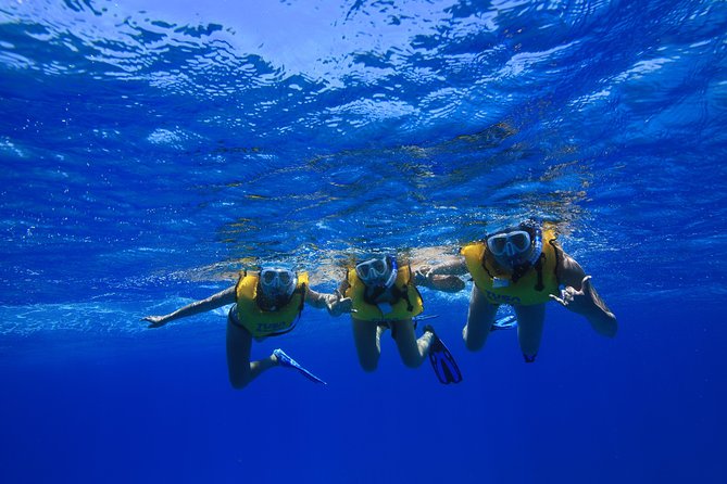 Waikiki, Hawaii: Turtle Canyon Snorkel Excursion - Who will enjoy this excursion most?