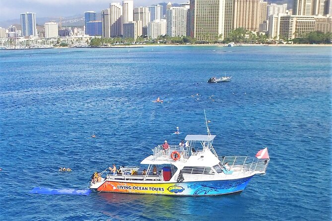 Waikiki, Hawaii: Turtle Canyon Snorkel Excursion - Reaching Turtle Canyon, Waikiki’s turtle site