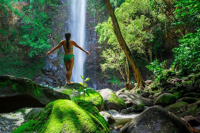 Wailua River Kayak and Sacred Falls Guided Hike with Lunch - Paddling upstream on Kauai’s only navigable river